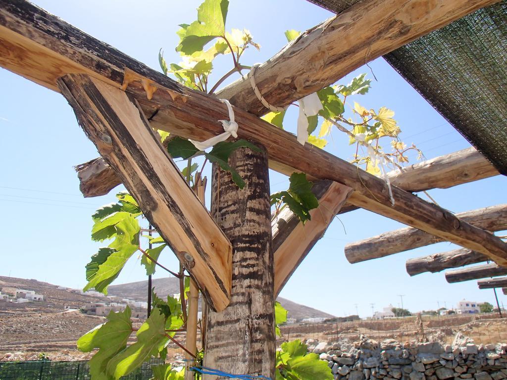 Pavlosx2 Folegandros Town Ngoại thất bức ảnh