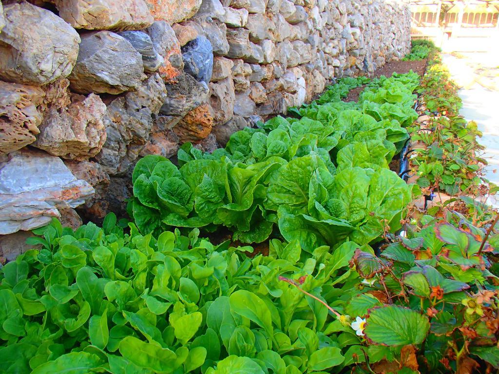Pavlosx2 Folegandros Town Ngoại thất bức ảnh
